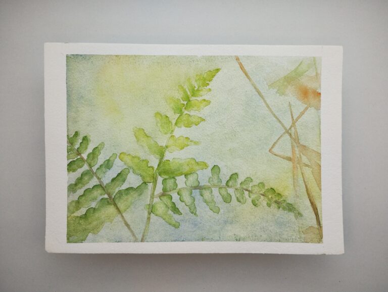 Sun Fern