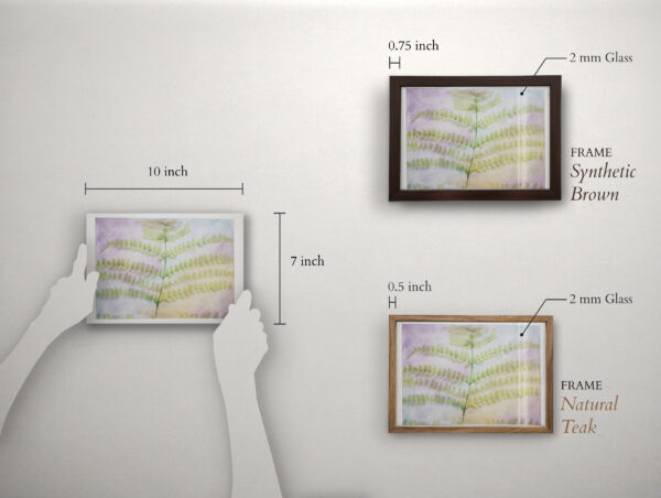 Assembly - Image 2