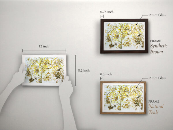 Lighten - Image 2