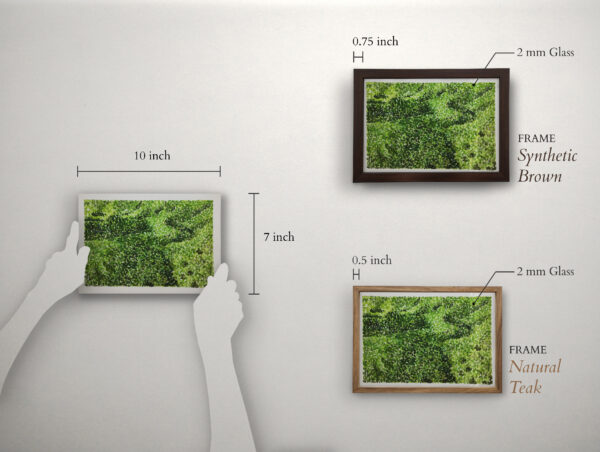Move - Image 2