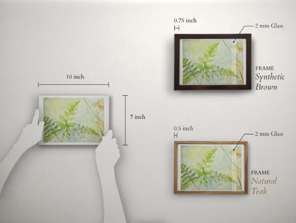 Sun Fern - Image 2