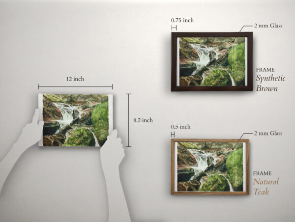Wild - Image 2